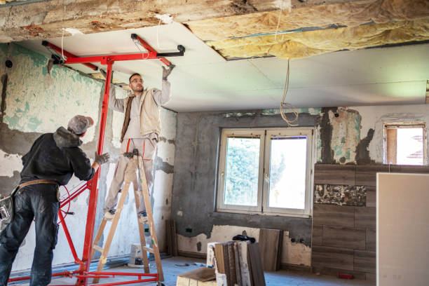 Best Insulation Air Sealing  in Red Bud, IL